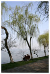 �h���D�a - ��� Orioles Singing in Ripples of Willows (Liulangwenying) - West Lake 