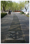 �h���D�a - ��� Orioles Singing in Ripples of Willows (Liulangwenying) - West Lake 