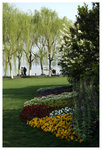 �h���D�a - ��� Orioles Singing in Ripples of Willows (Liulangwenying) - West Lake 
