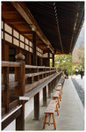 ��竜�x Tenryuji Temple