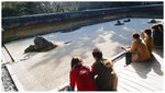 竜�w�x Ryoanji Kyoyochi Temple 