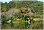 竜�w�x Ryoanji Kyoyochi Temple 