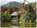 竜�w�x Ryoanji Kyoyochi Temple 