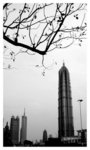 ���Z�j�H Jinmao Building