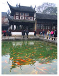 �d�� The Lingering Garden
