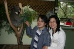Why didn't we hold this cute thing? Coz it really smell bad..... usual zoo smell... lol