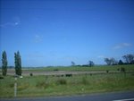 DSCN0421