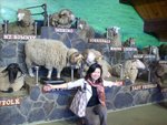 DSCN0491