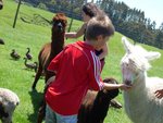DSCN0542