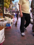 
Sheung Wan cat