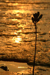 IMG_4593-s