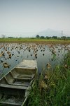 l896741106236349