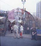 flowershow06-holga-003s