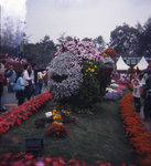 flowershow06-holga-011s