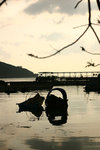 IMG_5891-s