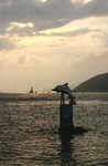 IMG_5931-es