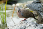 DSCF1064