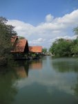 IMG_4509