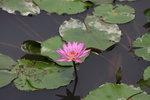 IMG_0048_resize