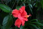 IMG_0331_resize_resize