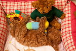 IMG_3900_resize