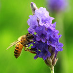 sIMG_6127_small