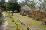 pai2 003