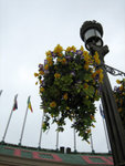 IMG_0662a