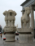 IMG_0680A
