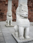 IMG_0684A