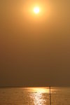IMG_8586