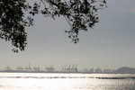 IMG_9267