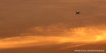 DSC_3091_a