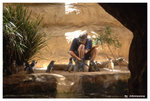 sydney aquarium