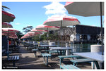 sydney fish market-outlook