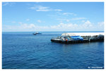 arlington reef