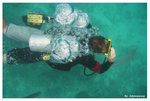diver01