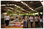 rainforest restaurant