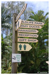 rainforest sign