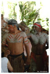 traditional show02