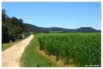 melaleuca station03