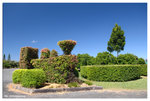 melaleuca station outlook03