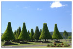 melaleuca station outlook04