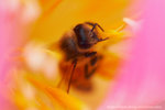 DSCF1479s