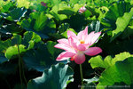 DSCF1379s