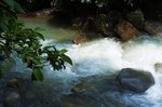 DSCF9834t