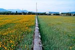 FM2_20051119_009t