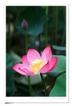 DSCF7298s