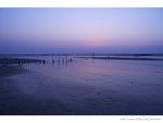 S2_20051019_036d