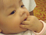 DSCF0830